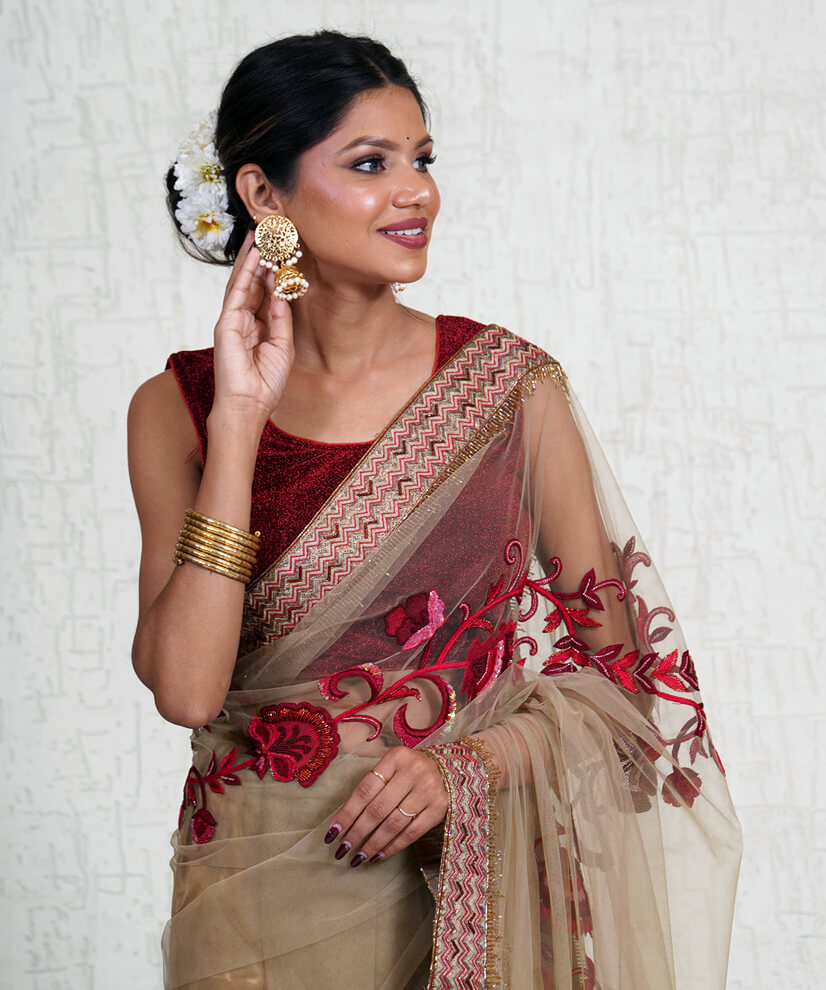 Champagne Beige Net Saree with Aari Zardozi Hand Embroidery - Image 4